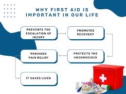 Why Learning First Aid Matters – Essential Training Video Guide